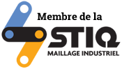 Logo STIQ